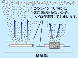 comparison2-1.gif