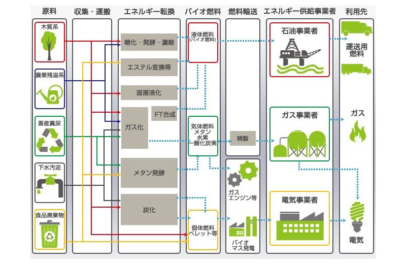 biomass_img_01.jpg